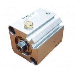 Cilindru pneumatic compact simpla actionare tija retrasa seria ACQ cu magnet Ø20 Cursa 20 mm - 20x20