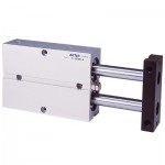 Cilindru pneumatic antirotatie cu 2 pistoane dubla actionare seria TN Ø10 Cursa 80 mm 10x80