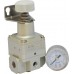 Regulator de presiune de precizie cu manometru exterior 0.1 - 4 bar 1/4"